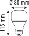 20 W LED AMPUL