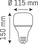 40 W LED AMPUL
