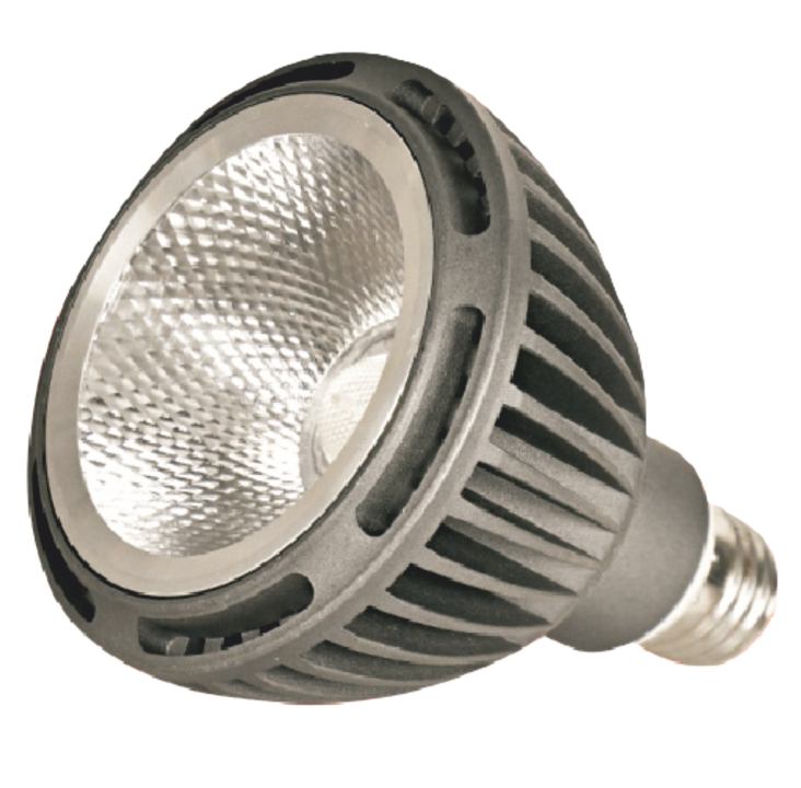25 W PAR38 COB LED AMPUL