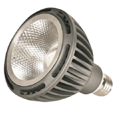 25 W PAR38 COB LED AMPUL
