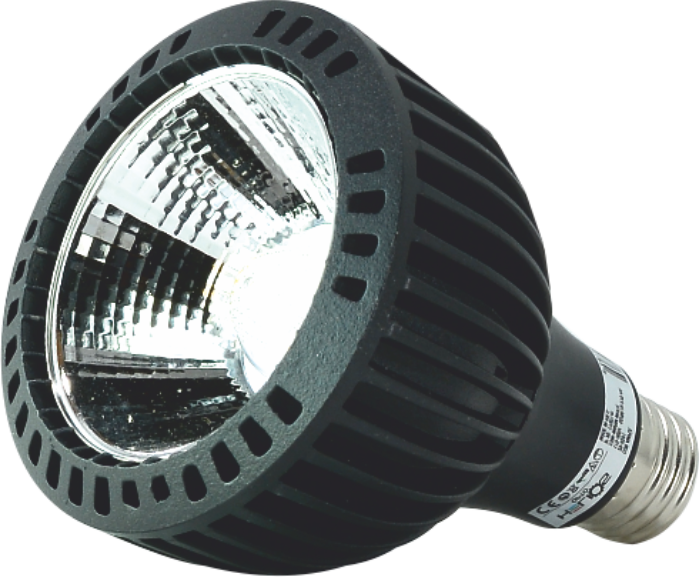 25 W PAR38 COB LED AMPUL