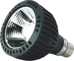 25 W PAR38 COB LED AMPUL