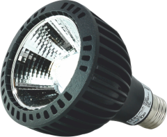 25 W PAR38 COB LED AMPUL