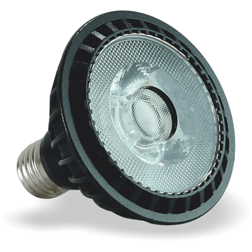 15 W - 30 W PAR30 COB LED AMPUL