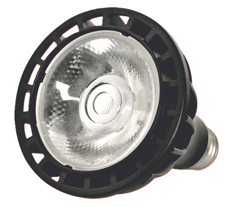 15 W - 30 W PAR30 COB LED AMPUL