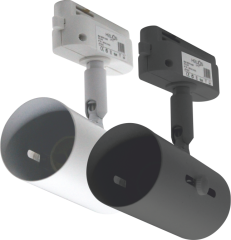 RAY SPOT BOŞ KASA - KOZA