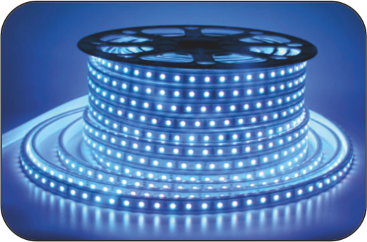 220V ÜÇ ÇİPLİ HORTUM LED - IP67