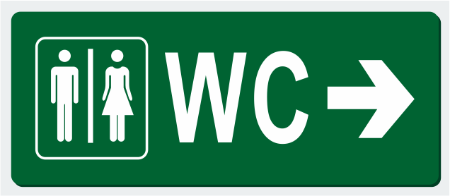 3 W ÇIKIŞ ARMATÜRÜ (WC)